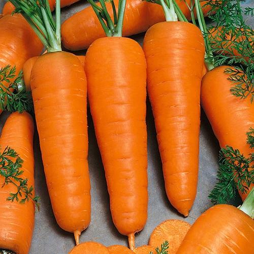Cách chọn mua và cách bảo quản cà rốt tươi lâu một cách hiệu quả nhất