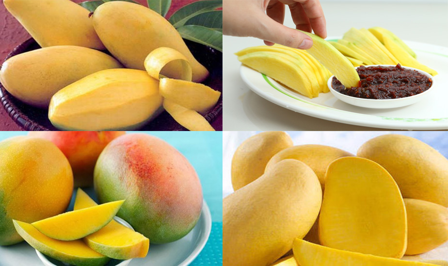 You should choose to eat green or ripe mangoes?