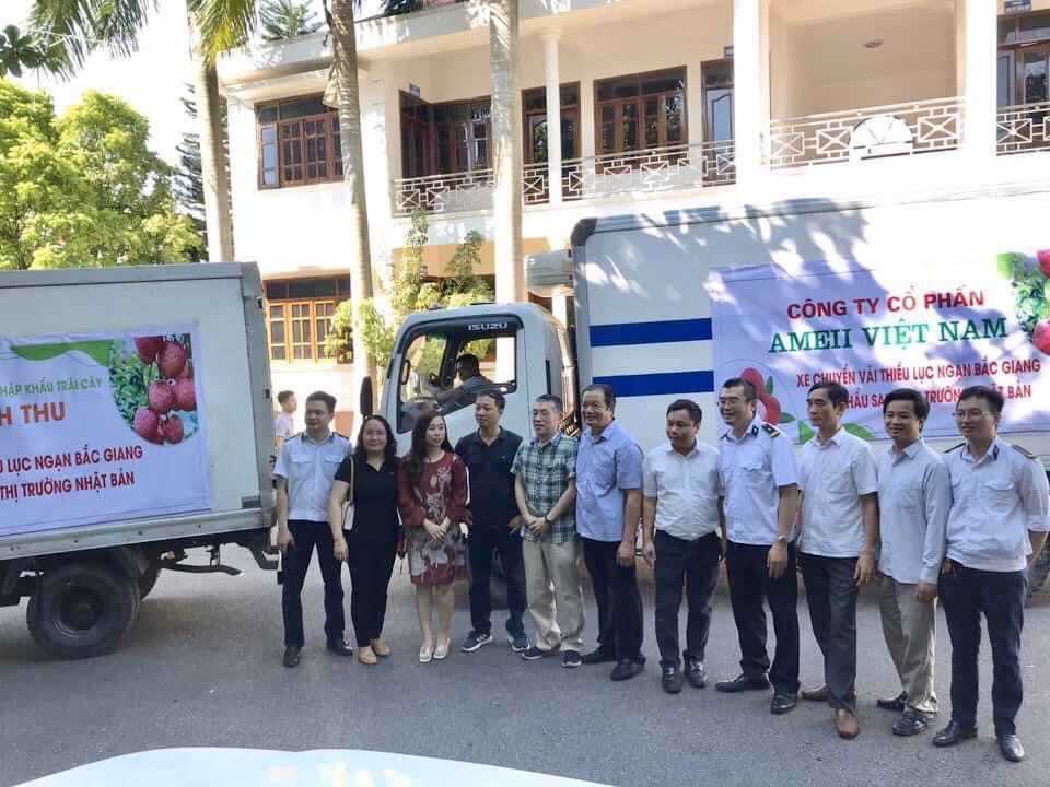 Ameii Vietnam xuất khẩu Vải Thiều Lục Ngạn-Bắc Giang sang thị trường Nhật Bản