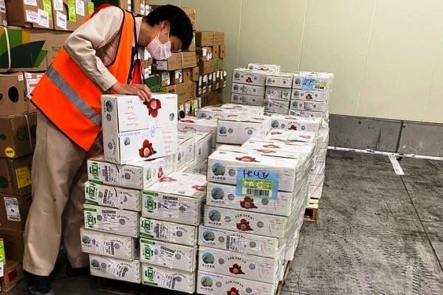 Hơn 2 tấn Vải được xuất khẩu bởi 