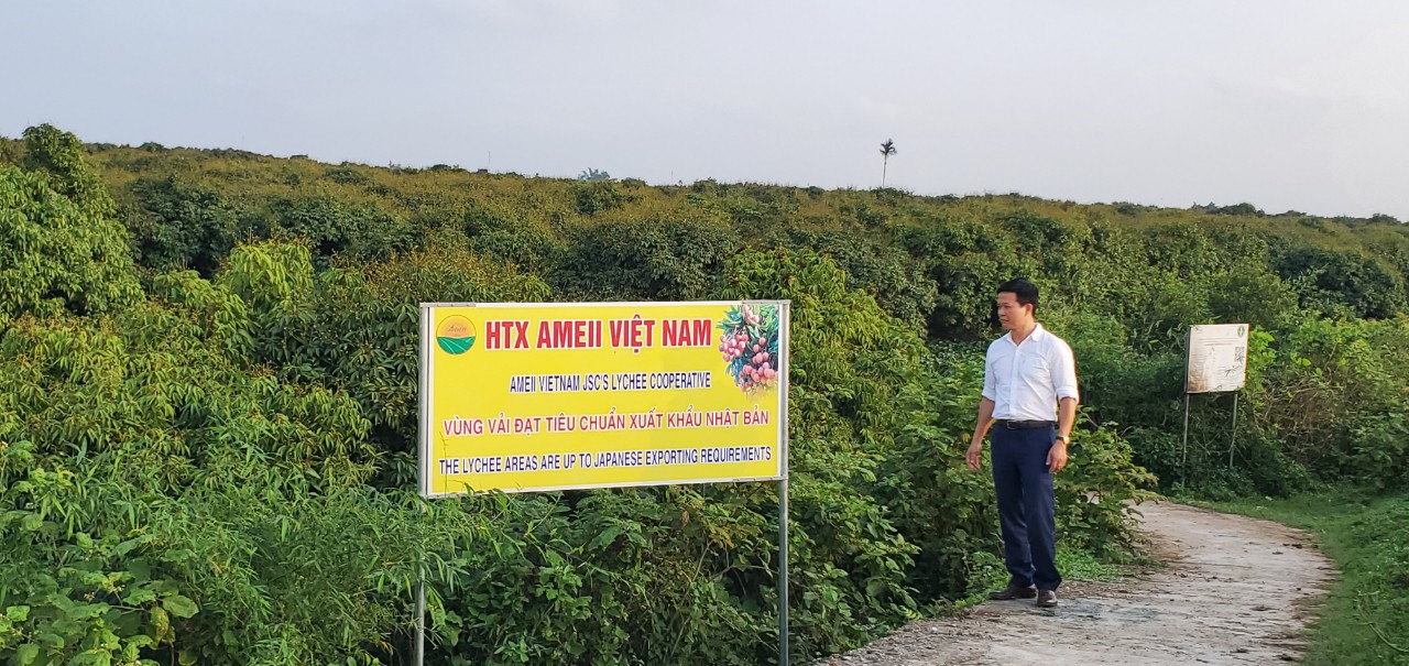 HTX AMEII liên kết chuỗi sản xuất và tiêu thụ nông sản