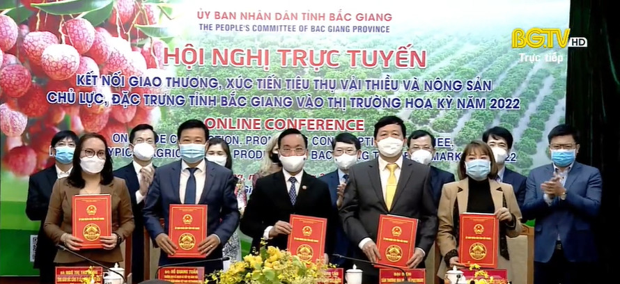 AMEII VIỆT NAM xúc tiến tiêu thụ vải thiều vào thị trường Hoa Kỳ năm 2022