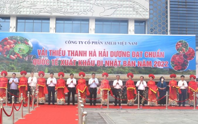 Lô vải thiều Thanh Hà đầu tiên 'xuất ngoại' trong năm 2022