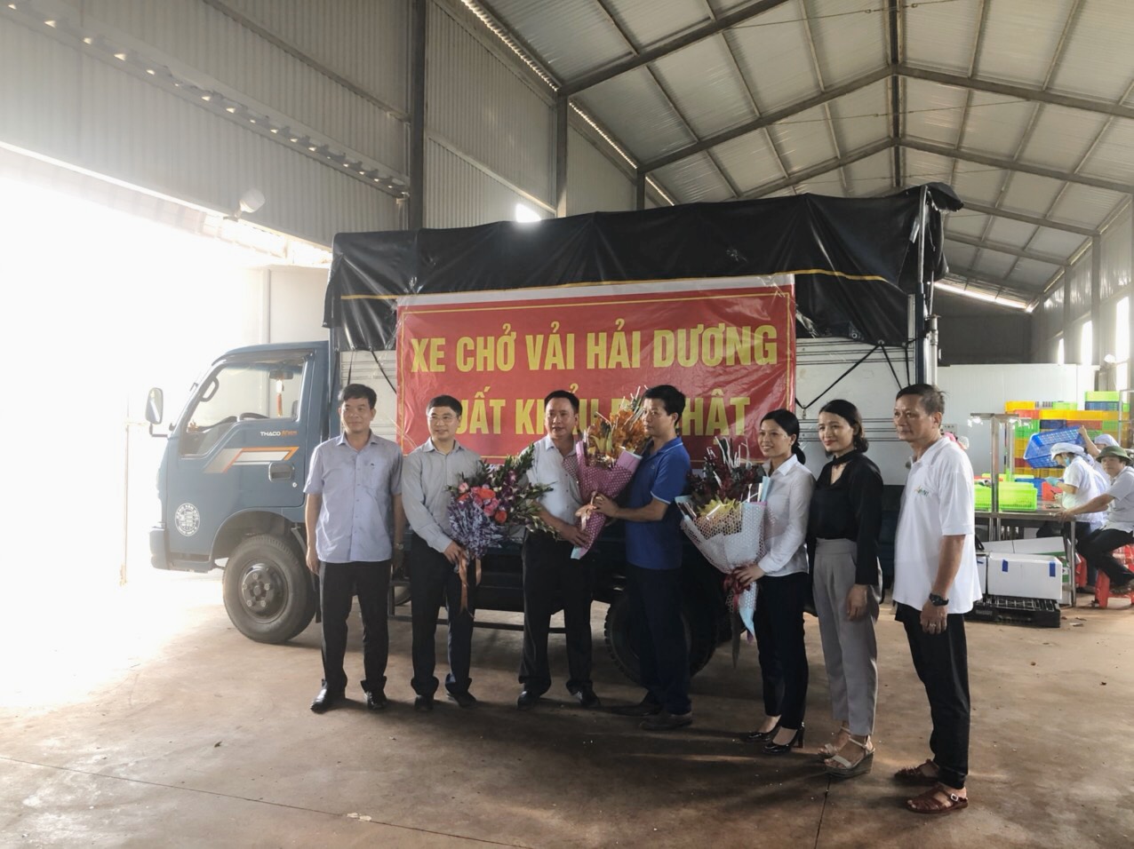 Xuất khẩu Lô Vải thiều Hải Dương sang Nhật Bản