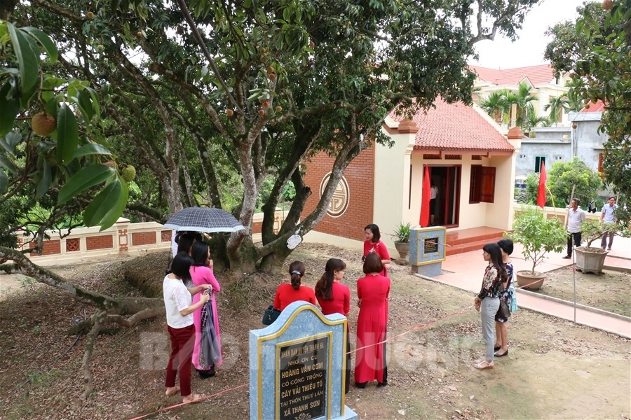 Câu chuyện 