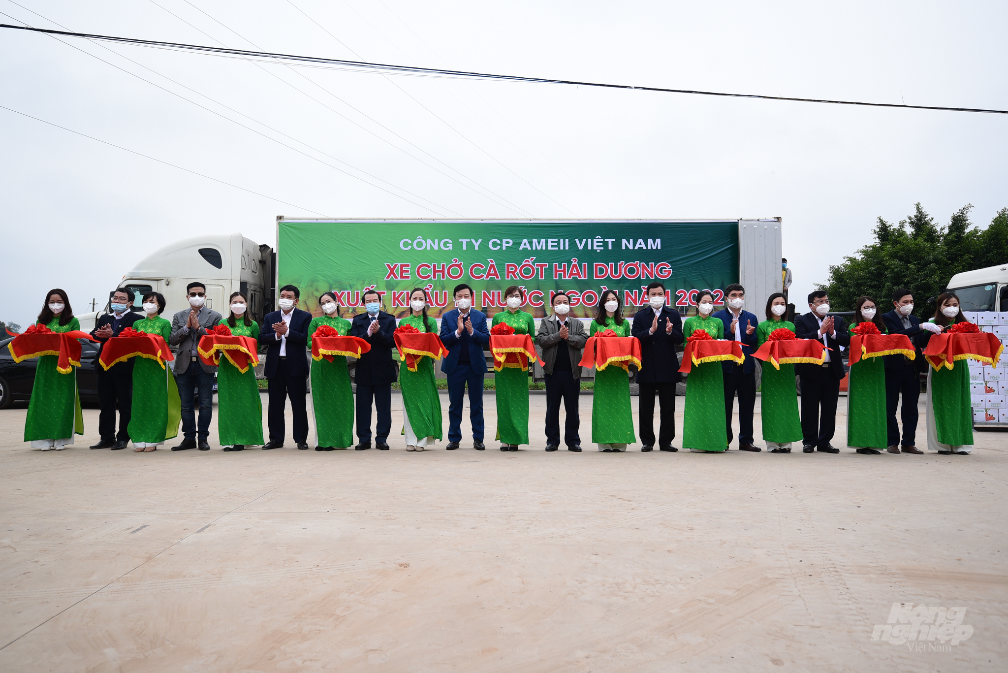 Hải Dương tổ chức Lễ hội thu hoạch cà rốt lần đầu tiên